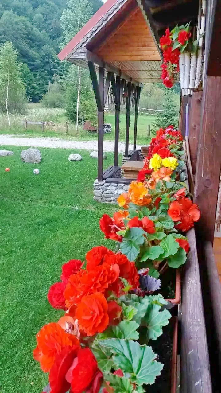 Cazare Stâna de Vale - Pensiunea Rustic House 2** | Biharfüred - Rustic House Panzió 2** . Imaginea poate fi supusă drepturilor de autor. Se recomandă contactarea titularului drepturilor.