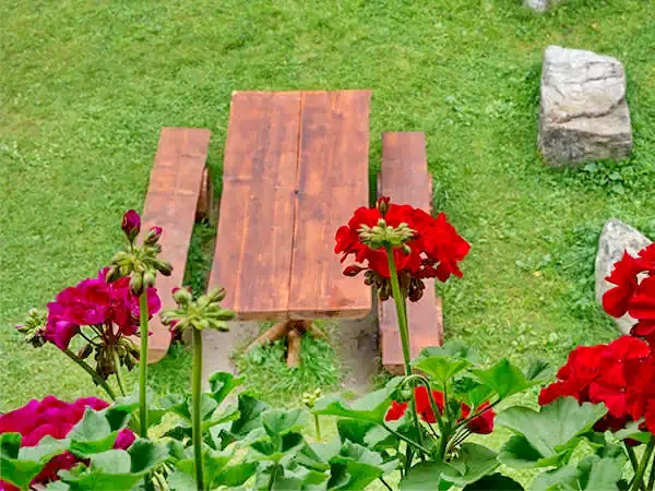 Cazare Stâna de Vale - Pensiunea Rustic House 2** | Biharfüred - Rustic House Panzió 2** . Imaginea poate fi supusă drepturilor de autor. Se recomandă contactarea titularului drepturilor.