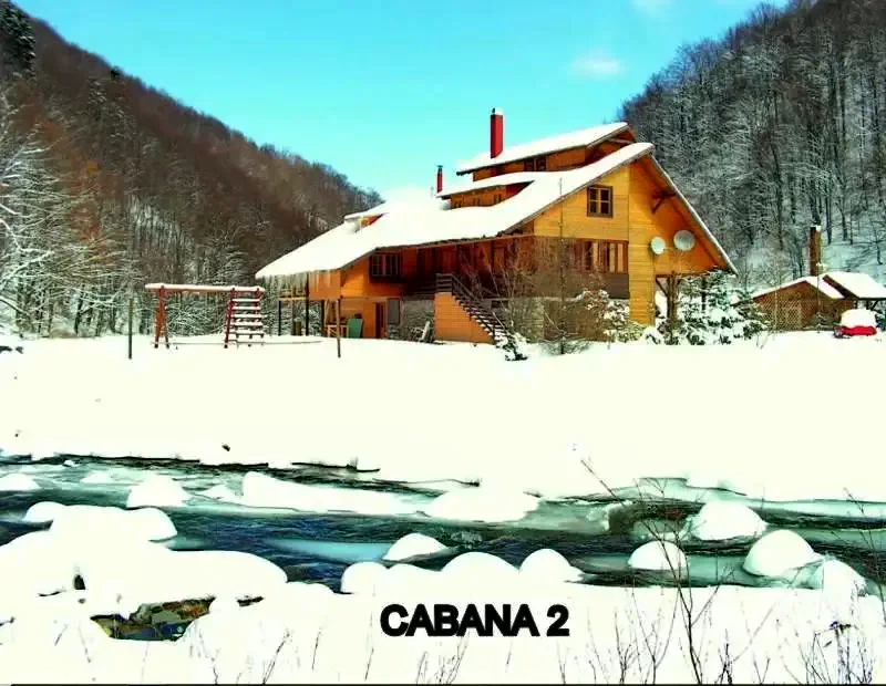 Cazare Stâna de Vale - Pensiunea Rustic House 2** | Biharfüred - Rustic House Panzió 2** . Imaginea poate fi supusă drepturilor de autor. Se recomandă contactarea titularului drepturilor.