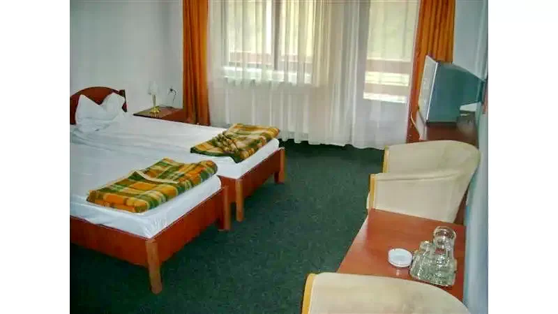 Borșa Cazare | Hotel*** (K0984-18) Imaginea poate fi supusă drepturilor de autor. Se recomandă contactarea titularului drepturilor.