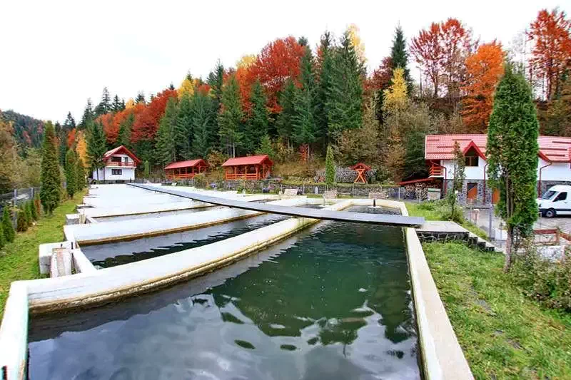 Borșa Cazare | Hotel*** (K0984-24) Imaginea poate fi supusă drepturilor de autor. Se recomandă contactarea titularului drepturilor.