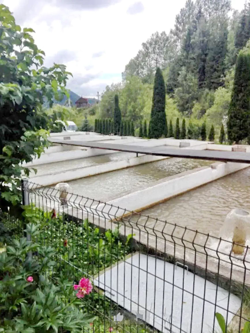 Borșa Cazare | Hotel*** (K0984-25) Imaginea poate fi supusă drepturilor de autor. Se recomandă contactarea titularului drepturilor.