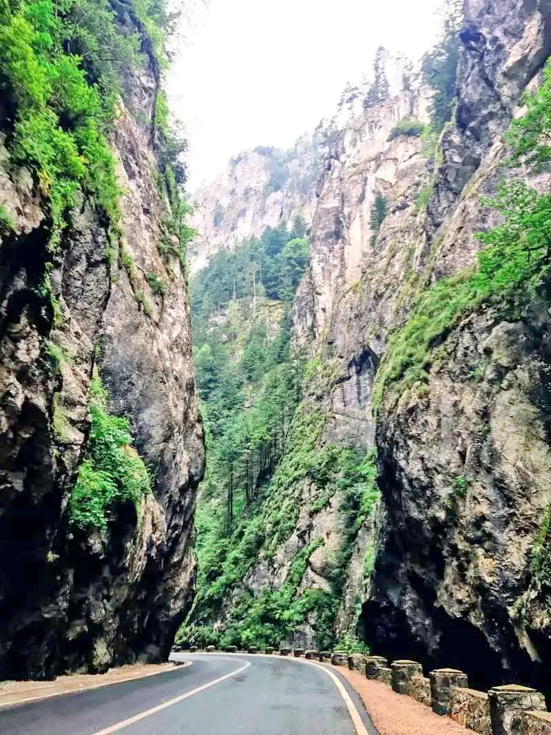 Cazare Lacu Roșu - Vila Vereskő*** | Gyilkos-tó - Vereskő Villa***. Imaginea poate fi supusă drepturilor de autor. Se recomandă contactarea titularului drepturilor.