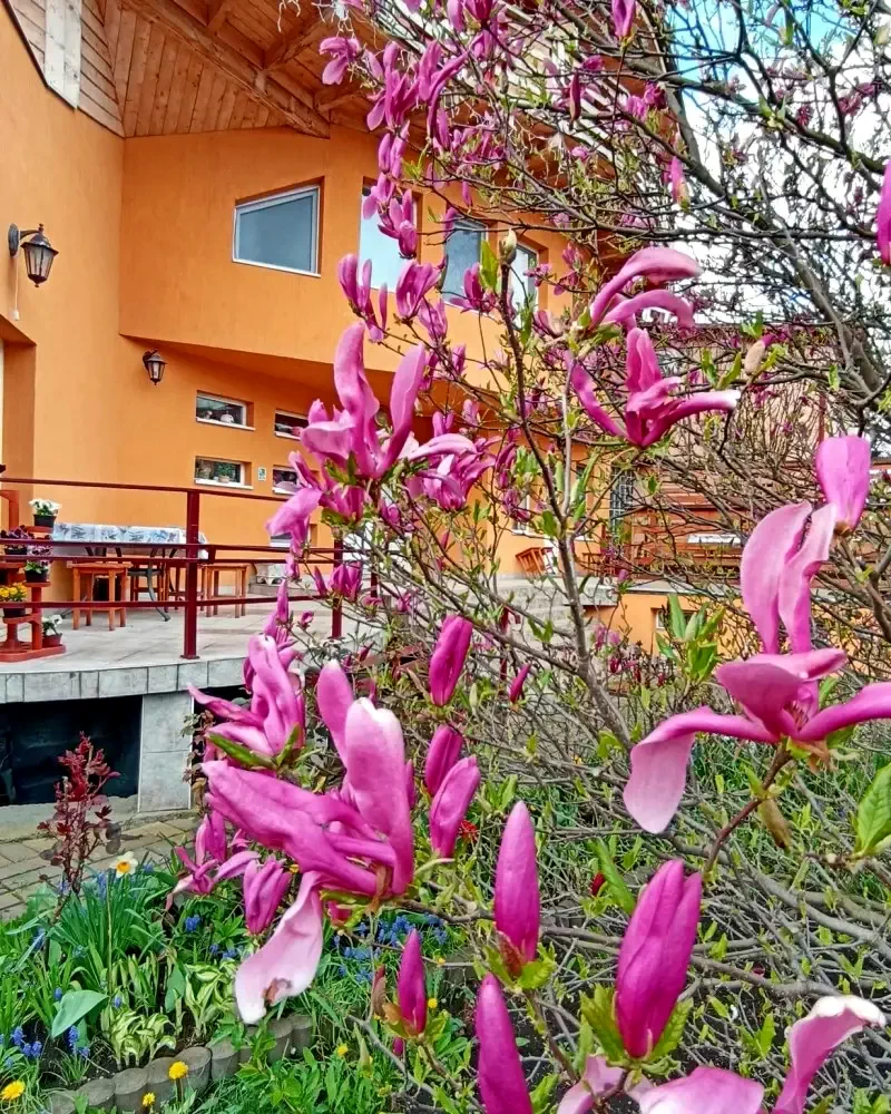 Torda Szállás | Motel (K0104-5) A kép szerzői jogvédelem alatt állhat. Javasolt a kapcsolatfelvétel a jog tulajdonossal.