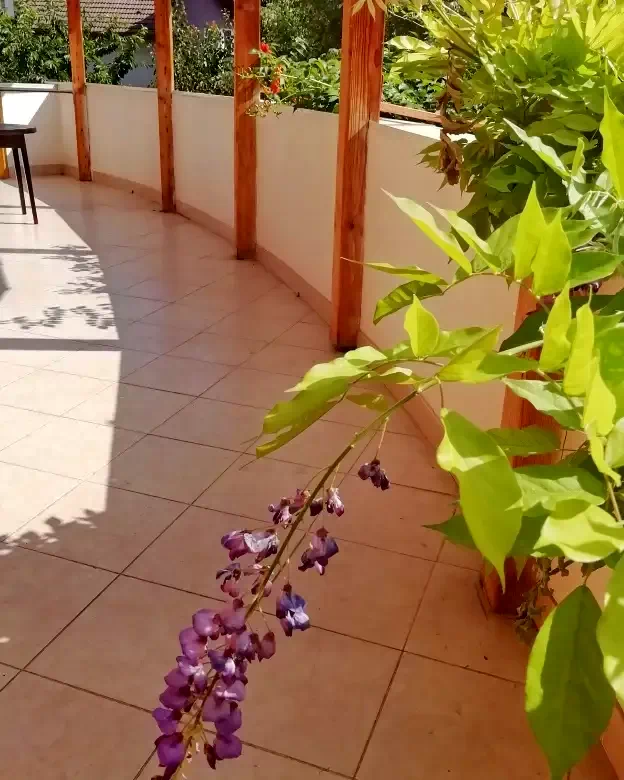 Turda Cazare | Motel (K0104-17) Imaginea poate fi supusă drepturilor de autor. Se recomandă contactarea titularului drepturilor.