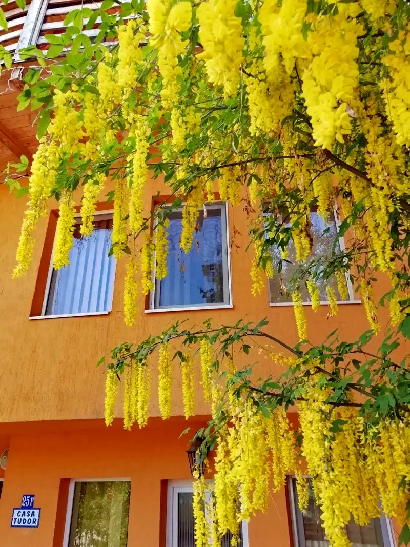 Torda Szállás | Motel (K0104-20) A kép szerzői jogvédelem alatt állhat. Javasolt a kapcsolatfelvétel a jog tulajdonossal.