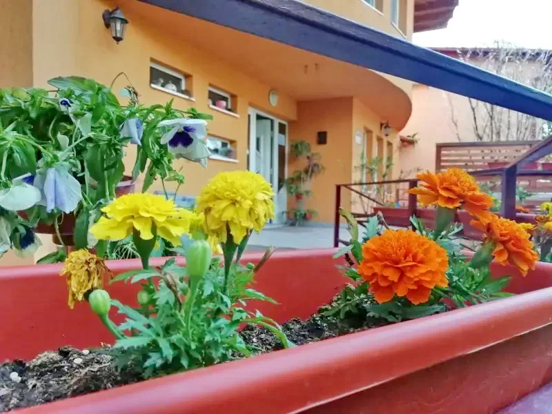 Torda Szállás | Motel (K0104-28) A kép szerzői jogvédelem alatt állhat. Javasolt a kapcsolatfelvétel a jog tulajdonossal.