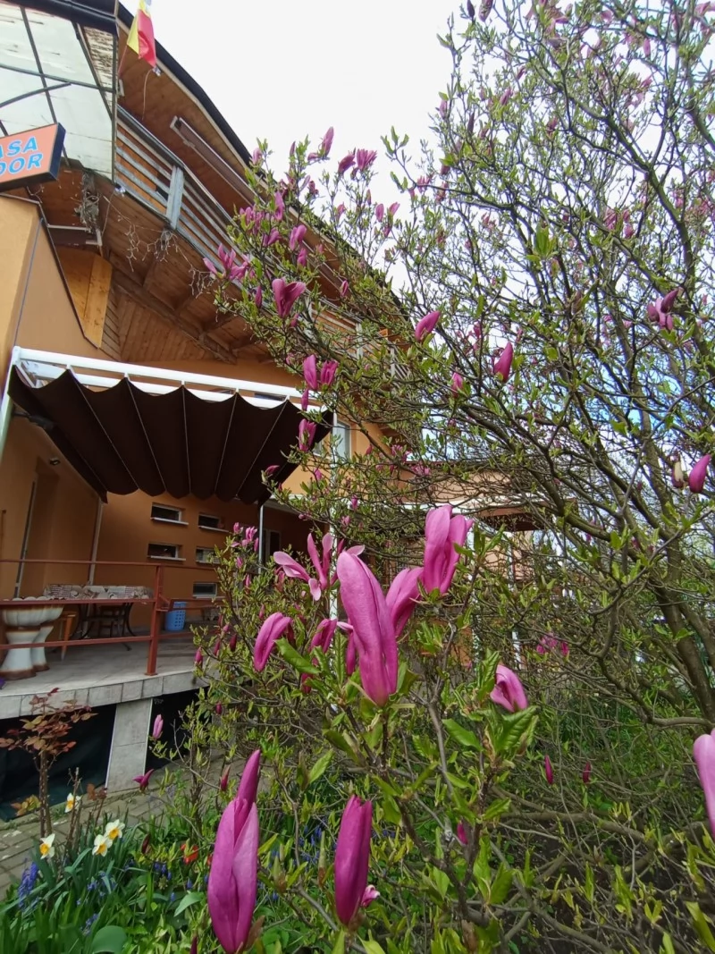 Turda Cazare | Motel (K0104-34) Imaginea poate fi supusă drepturilor de autor. Se recomandă contactarea titularului drepturilor.