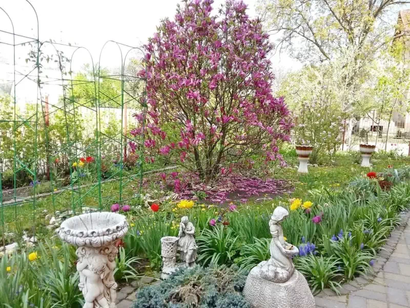 Turda Cazare | Motel (K0104-39) Imaginea poate fi supusă drepturilor de autor. Se recomandă contactarea titularului drepturilor.