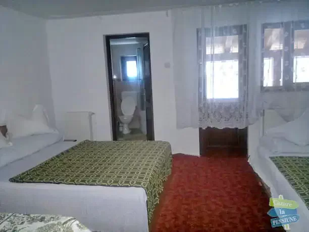 Borșa Cazare | Motel (K0252-8) Imaginea poate fi supusă drepturilor de autor. Se recomandă contactarea titularului drepturilor.