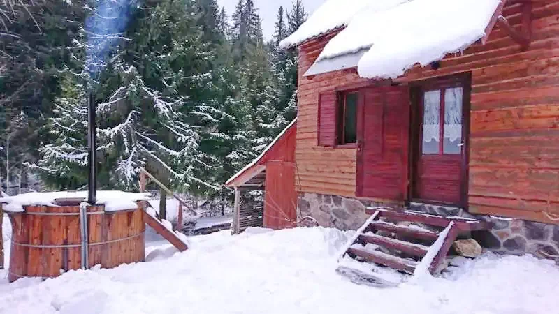 Borzont Szállás | Hotel**** (K1275-30) A kép szerzői jogvédelem alatt állhat. Javasolt a kapcsolatfelvétel a jog tulajdonossal.