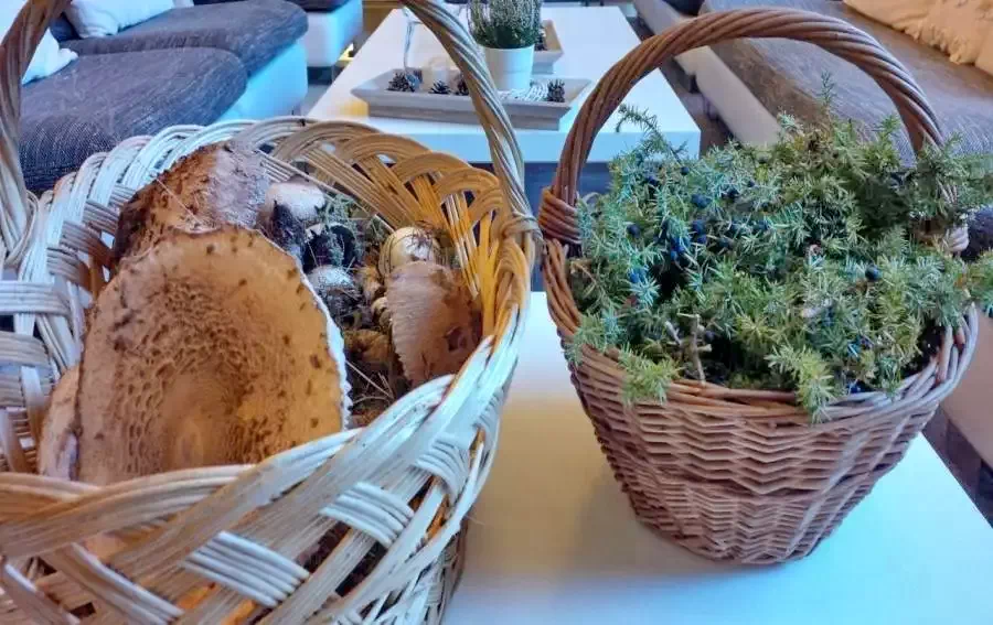 Băile Bálványos Cazare | Casă de oaspeți (K0476-44) Imaginea poate fi supusă drepturilor de autor. Se recomandă contactarea titularului drepturilor.