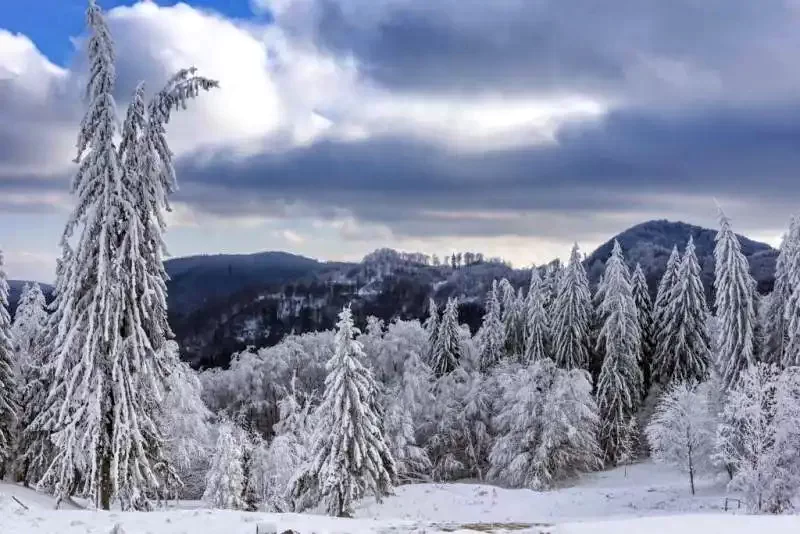 Bálványosfürdő Szállás | Vendégház (K0476-49) A kép szerzői jogvédelem alatt állhat. Javasolt a kapcsolatfelvétel a jog tulajdonossal.