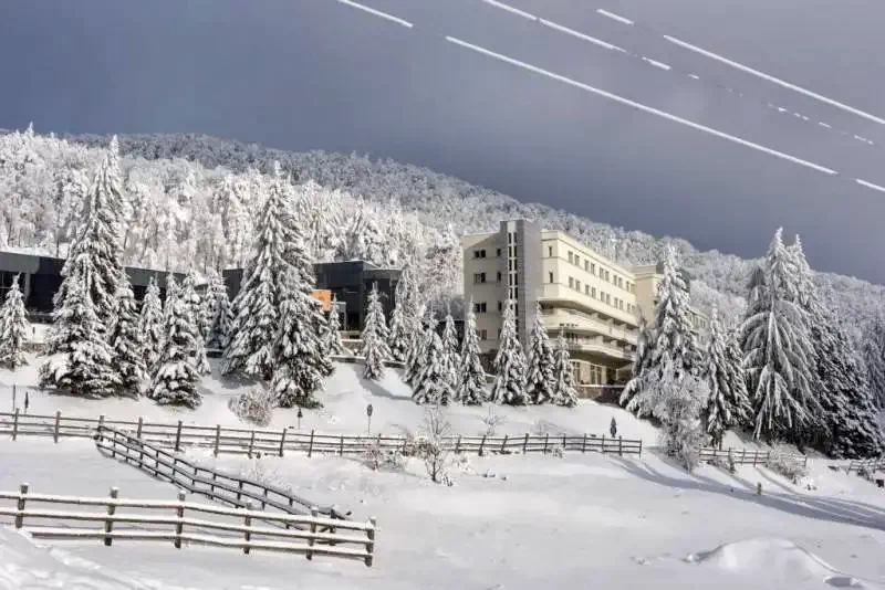 Bálványosfürdő Szállás | Vendégház (K0476-50) A kép szerzői jogvédelem alatt állhat. Javasolt a kapcsolatfelvétel a jog tulajdonossal.