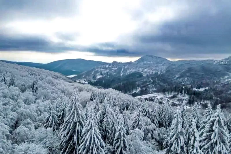 Băile Bálványos Cazare | Casă de oaspeți (K0476-51) Imaginea poate fi supusă drepturilor de autor. Se recomandă contactarea titularului drepturilor.