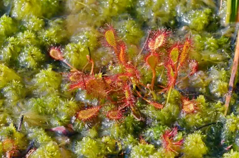 Bálványosfürdő Szállás | Vendégház (K0476-61) A kép szerzői jogvédelem alatt állhat. Javasolt a kapcsolatfelvétel a jog tulajdonossal.