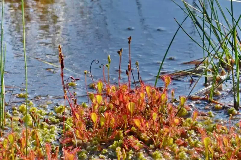 Băile Bálványos Cazare | Casă de oaspeți (K0476-62) Imaginea poate fi supusă drepturilor de autor. Se recomandă contactarea titularului drepturilor.