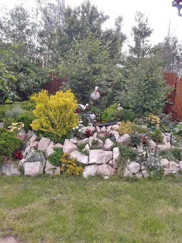 Vlăhița Cazare | Motel (K1368-6) Imaginea poate fi supusă drepturilor de autor. Se recomandă contactarea titularului drepturilor.