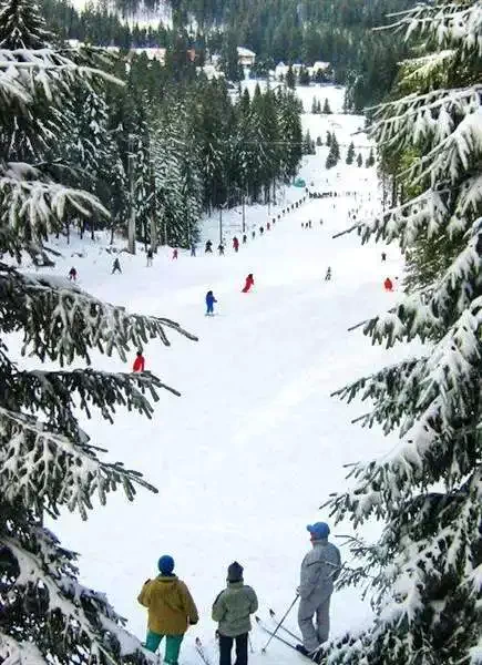 Vlăhița Cazare | Motel (K1368-29) Imaginea poate fi supusă drepturilor de autor. Se recomandă contactarea titularului drepturilor.