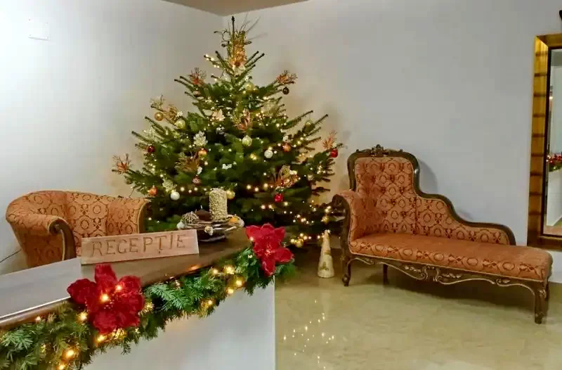 Cazare Sebes - Hotel Eka*** | Szászsebes - Eka Hotel***. Imaginea poate fi supusă drepturilor de autor. Se recomandă contactarea titularului drepturilor.