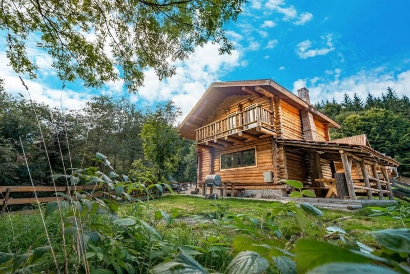 Zărnești Cazare | Pensiune turistică (K1550-41) Imaginea poate fi supusă drepturilor de autor. Se recomandă contactarea titularului drepturilor.