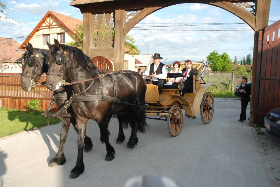 Ciumani Cazare | Motel (K1075-28) Imaginea poate fi supusă drepturilor de autor. Se recomandă contactarea titularului drepturilor.