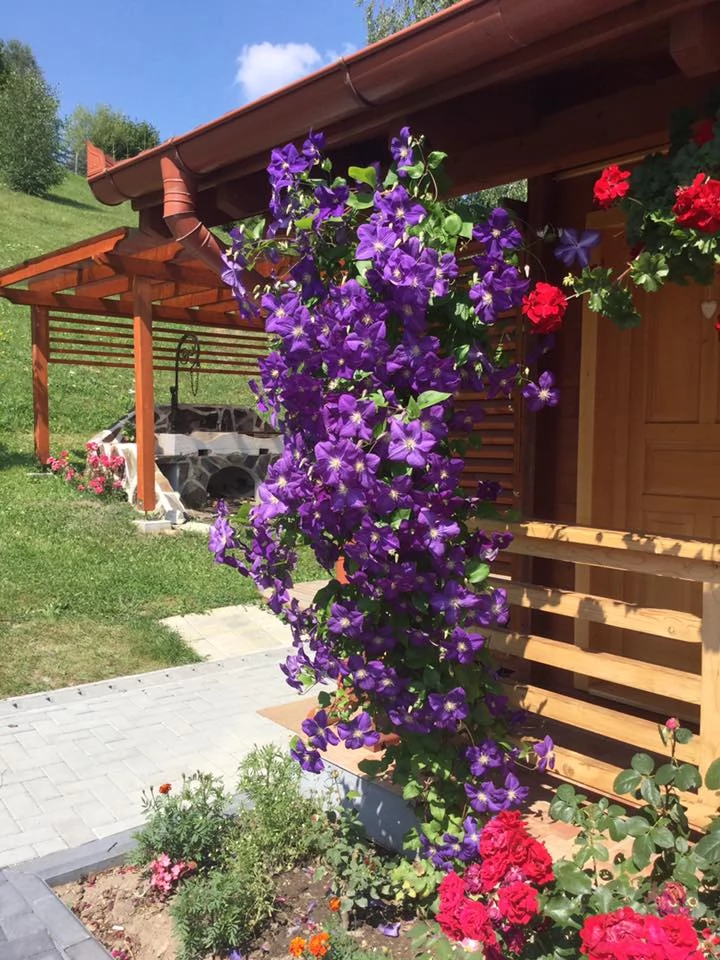 Sândominic Cazare | Motel (K1392-58) Imaginea poate fi supusă drepturilor de autor. Se recomandă contactarea titularului drepturilor.