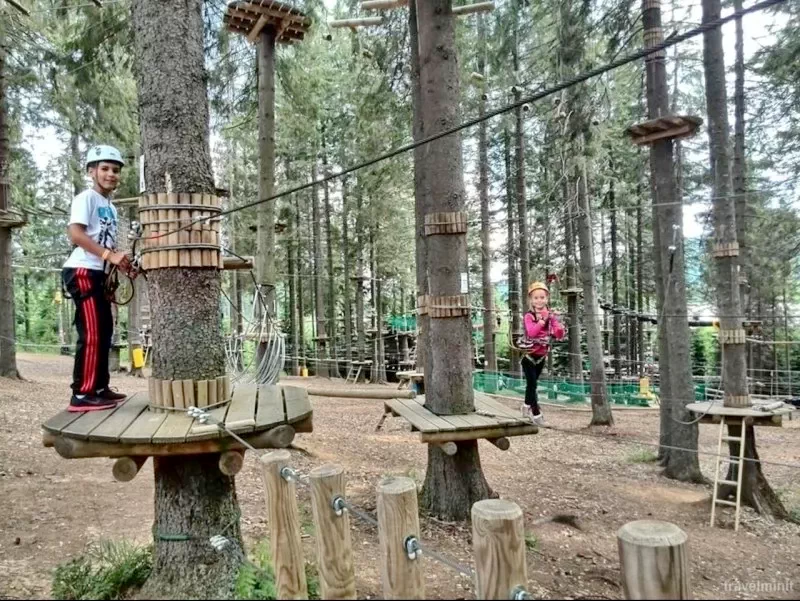 Cazare Odorheiu Secuiesc - Pensiunea Hintó*** | Székelyudvarhely - Hintó Panzió***. Imaginea poate fi supusă drepturilor de autor. Se recomandă contactarea titularului drepturilor.
