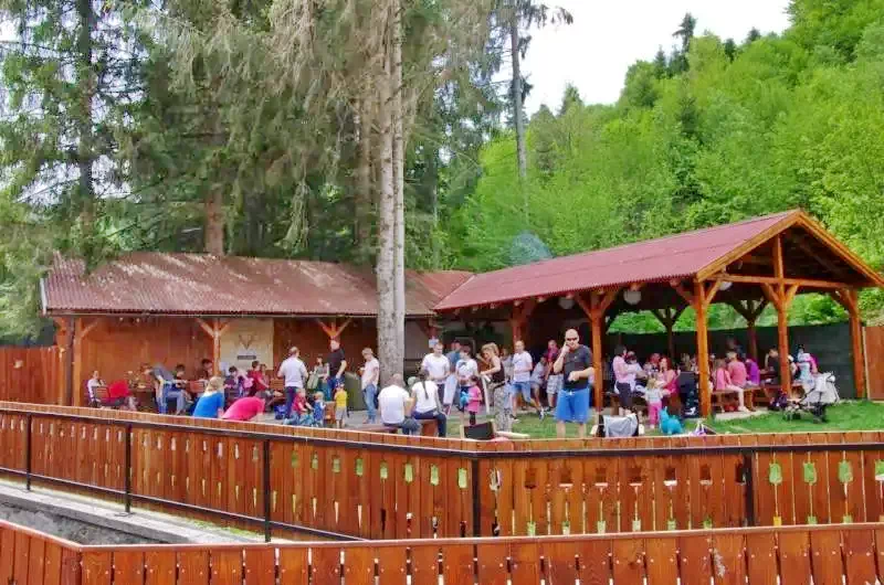 Cazare Miercurea Ciuc - Pensiunea Szécsény 88  Szabadidőpark | Csíkszereda - Szécsény 88 Szabadidőpark - volt Zöldfenyő Panzió. Imaginea poate fi supusă drepturilor de autor. Se recomandă contactarea titularului drepturilor.