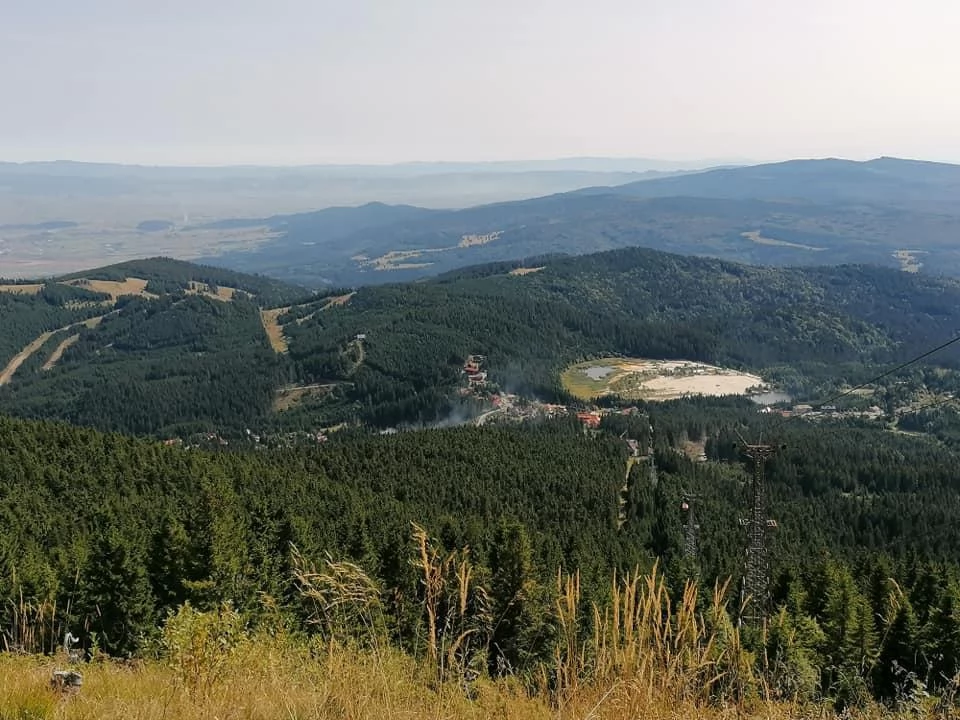 Cazare Miercurea Ciuc - Pensiunea Szécsény 88  Szabadidőpark | Csíkszereda - Szécsény 88 Szabadidőpark - volt Zöldfenyő Panzió. Imaginea poate fi supusă drepturilor de autor. Se recomandă contactarea titularului drepturilor.