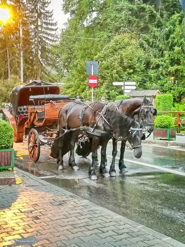 Szováta Szállás | Vendégház (K1426-31) A kép szerzői jogvédelem alatt állhat. Javasolt a kapcsolatfelvétel a jog tulajdonossal.