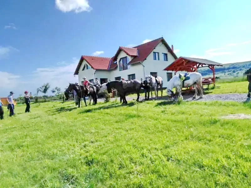 Küküllőkeményfalva Szállás | Motel (K0101-34) A kép szerzői jogvédelem alatt állhat. Javasolt a kapcsolatfelvétel a jog tulajdonossal.