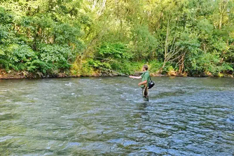 Târnovița Cazare | Motel (K0101-44) Imaginea poate fi supusă drepturilor de autor. Se recomandă contactarea titularului drepturilor.