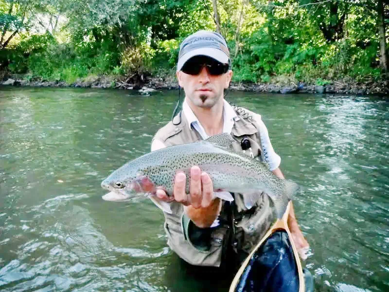 Küküllőkeményfalva Szállás | Motel (K0101-45) A kép szerzői jogvédelem alatt állhat. Javasolt a kapcsolatfelvétel a jog tulajdonossal.