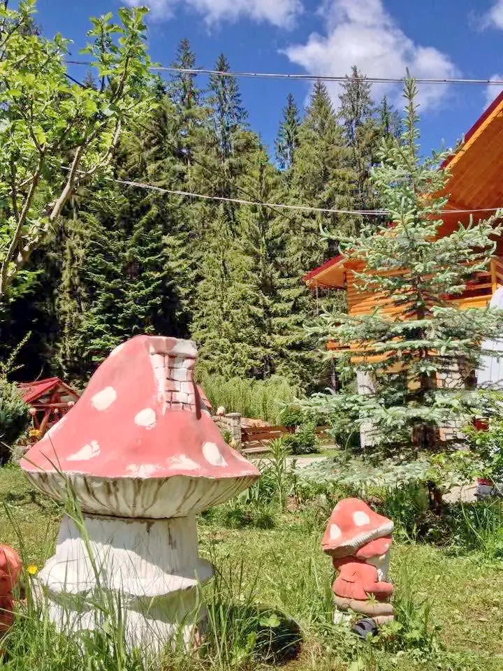Cazare Ceahlău - Durău - Pensiunea Agnes***|Csalhó - Durău - Ágnes Panzió*** . Imaginea poate fi supusă drepturilor de autor. Se recomandă contactarea titularului drepturilor.