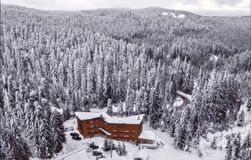 Cazare Harghita Băi - Pensiunea Tirol*** | Hargitafürdő -  Tirol Panzió ***. Imaginea poate fi supusă drepturilor de autor. Se recomandă contactarea titularului drepturilor.