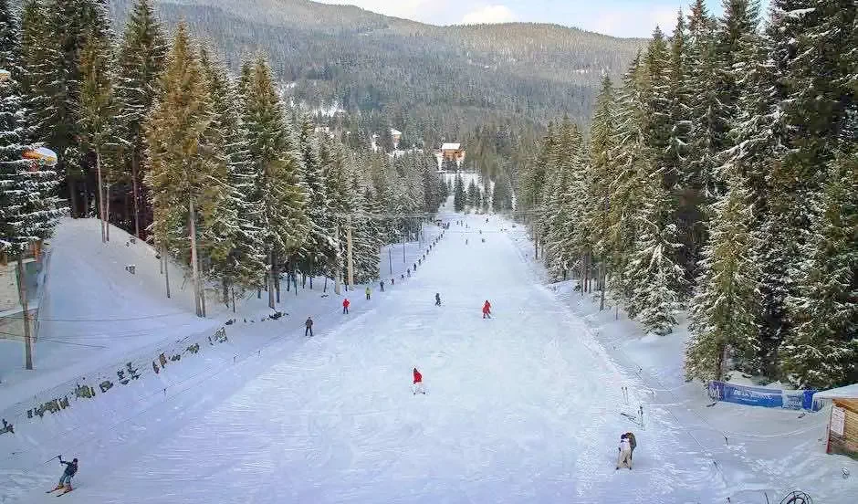 Cazare Harghita Băi - Pensiunea Tirol*** | Hargitafürdő -  Tirol Panzió ***. Imaginea poate fi supusă drepturilor de autor. Se recomandă contactarea titularului drepturilor.