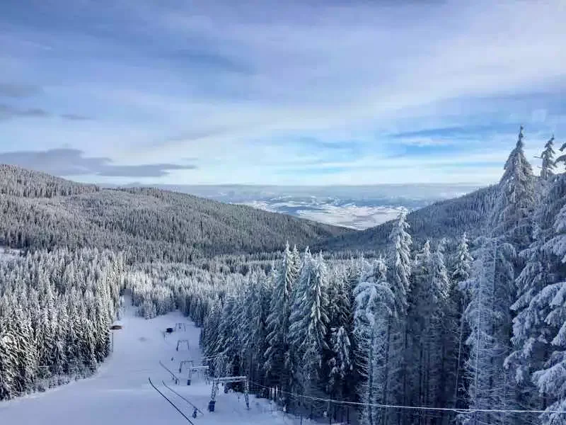 Cazare Harghita Băi - Pensiunea Tirol*** | Hargitafürdő -  Tirol Panzió ***. Imaginea poate fi supusă drepturilor de autor. Se recomandă contactarea titularului drepturilor.