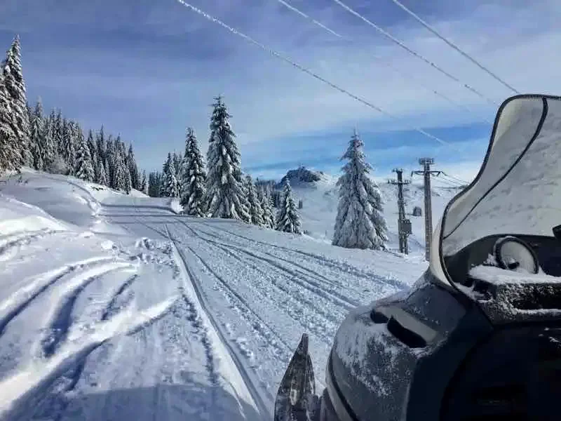 Cazare Harghita Băi - Pensiunea Tirol*** | Hargitafürdő -  Tirol Panzió ***. Imaginea poate fi supusă drepturilor de autor. Se recomandă contactarea titularului drepturilor.