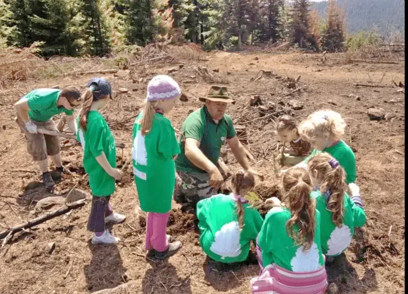 Cazare Harghita Băi - Pensiunea Tirol*** | Hargitafürdő -  Tirol Panzió ***. Imaginea poate fi supusă drepturilor de autor. Se recomandă contactarea titularului drepturilor.
