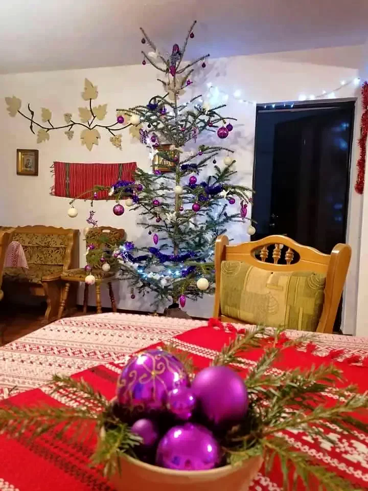 Comandău Cazare | Motel (K0446-17) Imaginea poate fi supusă drepturilor de autor. Se recomandă contactarea titularului drepturilor.