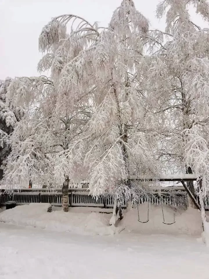 Comandău Cazare | Motel (K0446-49) Imaginea poate fi supusă drepturilor de autor. Se recomandă contactarea titularului drepturilor.