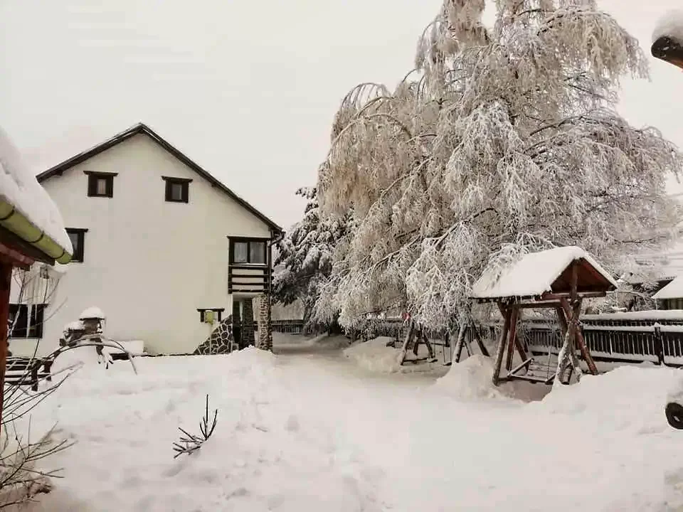 Komandó Szállás | Motel (K0446-50) A kép szerzői jogvédelem alatt állhat. Javasolt a kapcsolatfelvétel a jog tulajdonossal.