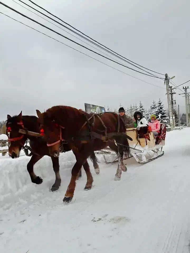 Comandău Cazare | Motel (K0446-54) Imaginea poate fi supusă drepturilor de autor. Se recomandă contactarea titularului drepturilor.