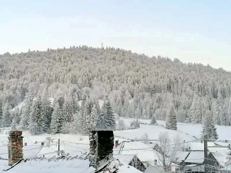 Comandău Cazare | Motel (K0446-55) Imaginea poate fi supusă drepturilor de autor. Se recomandă contactarea titularului drepturilor.