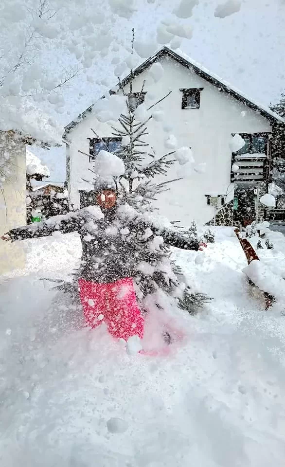 Comandău Cazare | Motel (K0446-97) Imaginea poate fi supusă drepturilor de autor. Se recomandă contactarea titularului drepturilor.