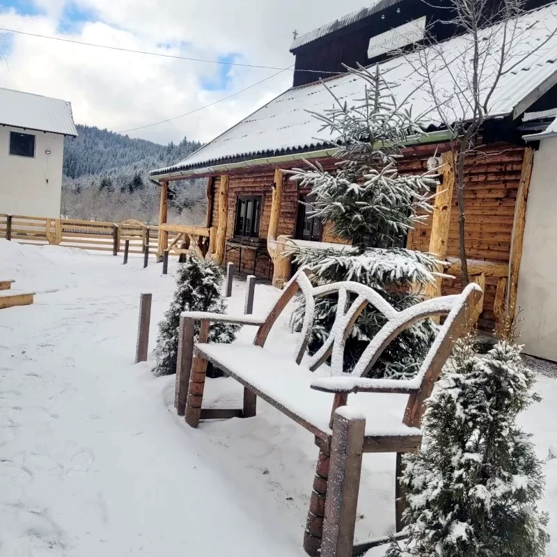 Komandó Szállás | Motel (K0446-108) A kép szerzői jogvédelem alatt állhat. Javasolt a kapcsolatfelvétel a jog tulajdonossal.