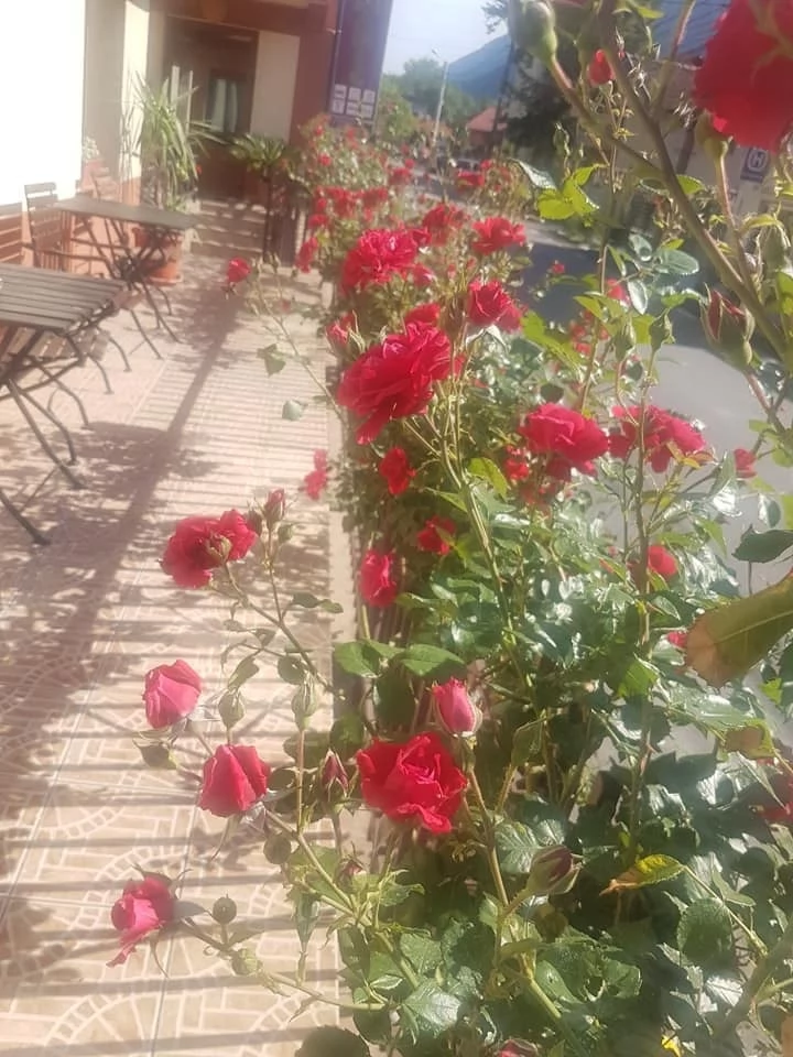 Băile Herculane Cazare | Motel (K0541-41) Imaginea poate fi supusă drepturilor de autor. Se recomandă contactarea titularului drepturilor.