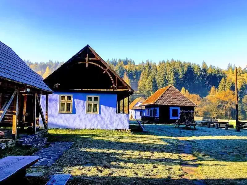 Lunca de Jos Cazare | Pensiune (K1262-5) Imaginea poate fi supusă drepturilor de autor. Se recomandă contactarea titularului drepturilor.