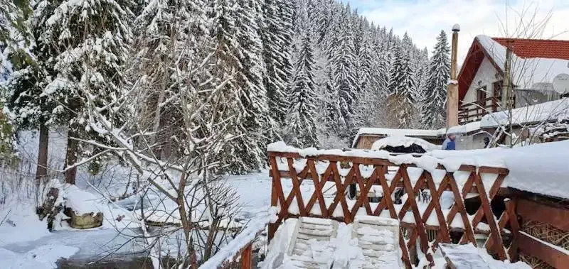 Komandó Szállás | Motel (K1223-28) A kép szerzői jogvédelem alatt állhat. Javasolt a kapcsolatfelvétel a jog tulajdonossal.